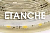 Rouleau de Bande LED de 5 Mètres Etanche IP66