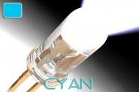 cyang