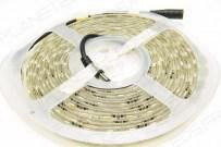 Rouleau de Bande de LED Blanc Froid IP66 Flexible de 5 Mètres