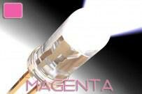 magenta