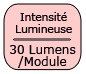 30lmodule.jpg